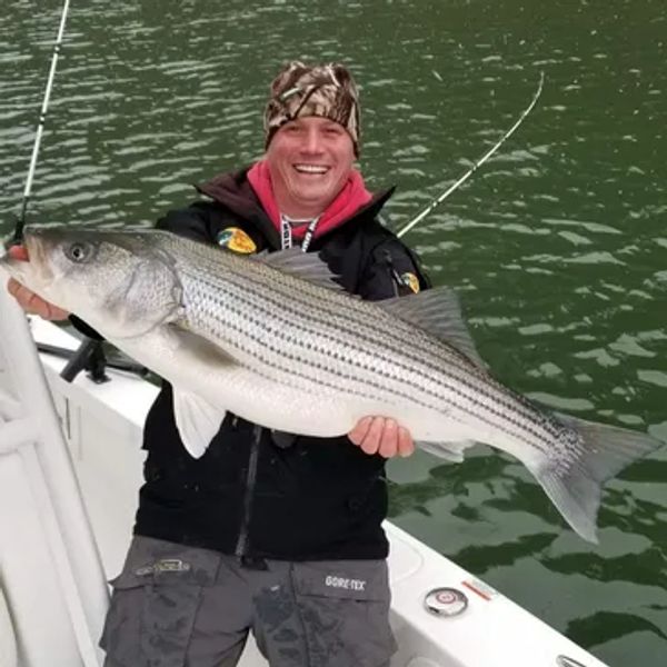 Bolt Finatics Chris Bolt live bait striper fishing bait tanks, live wells