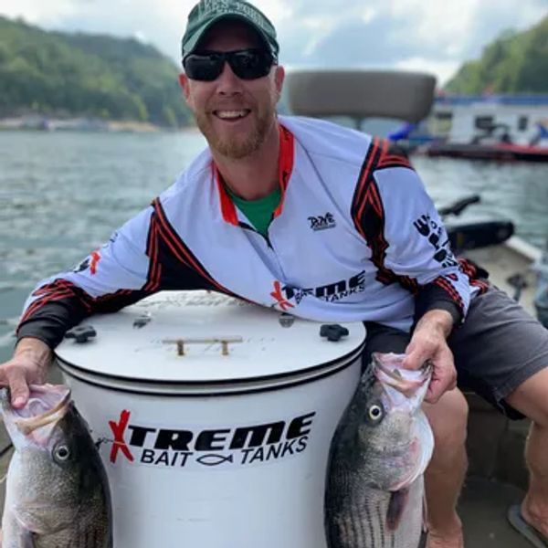 bait tanks live wells