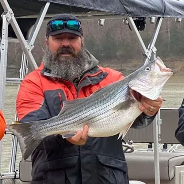 ProStaffer Jason Spence live bait striper fishing Live wells xtreme bait tanks