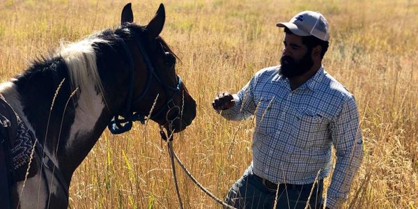 Horseback riding yellowstone
