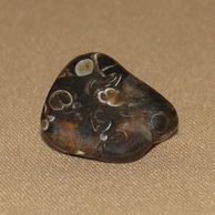 turritella energy stones