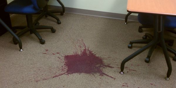 Commercial Deep Steam Carpet Cleaning Professionals Greeley CO