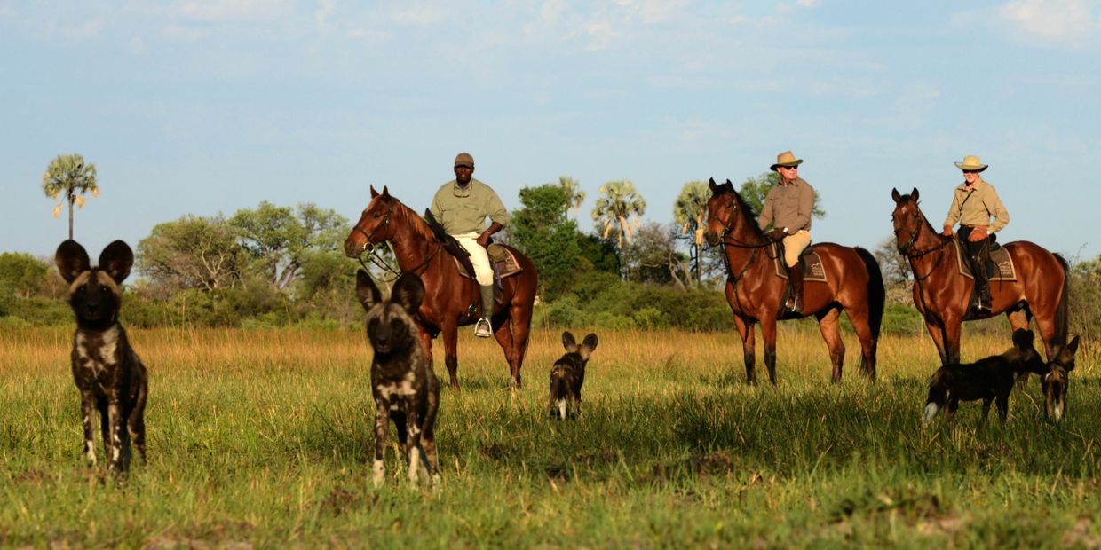 Horseback Safaris in the Okavango Delta, Botswana, Africa