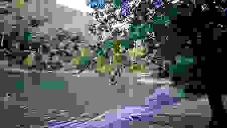 image487