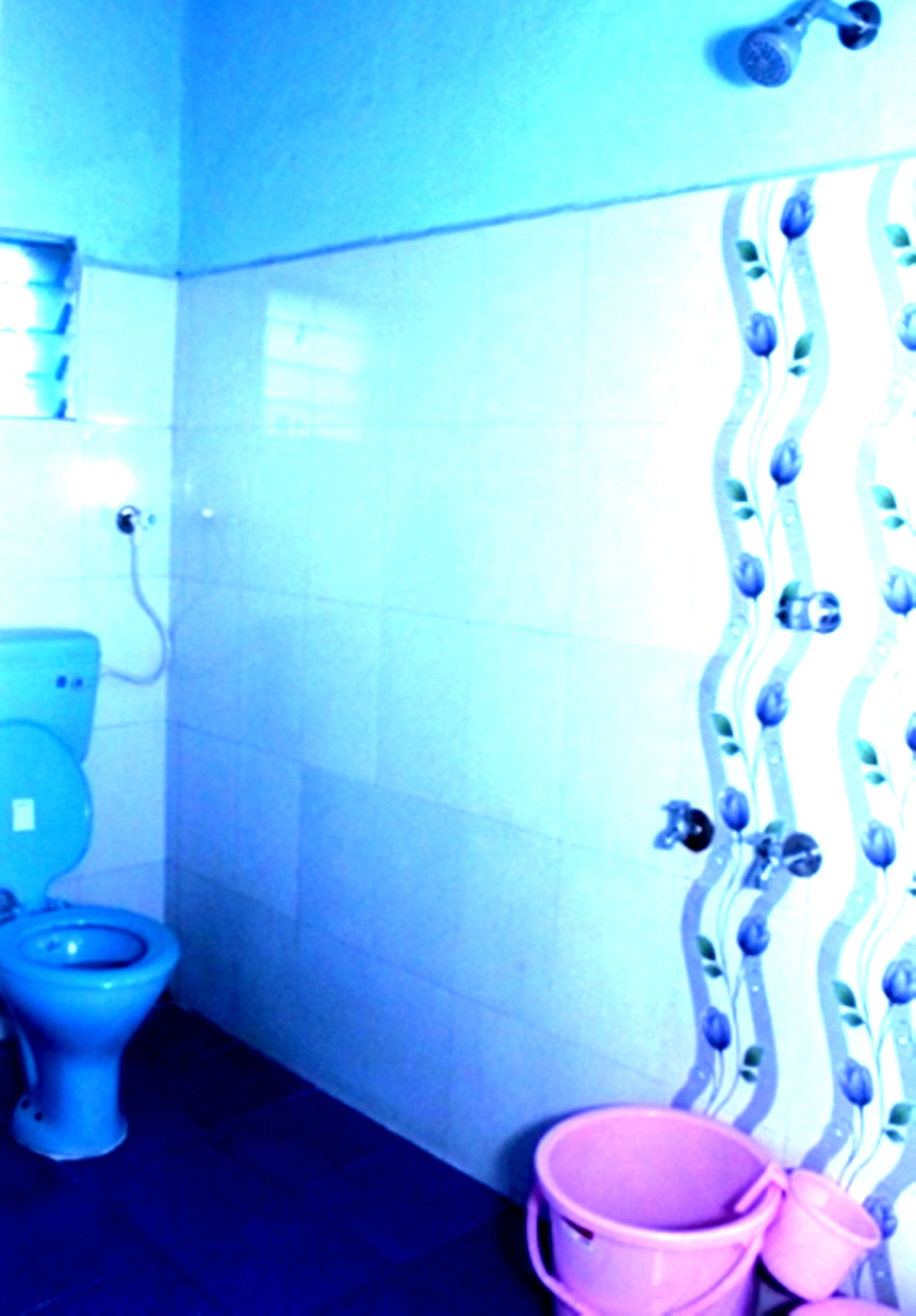 Dandeli Best group packages