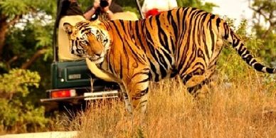 Family Resort Dandeli