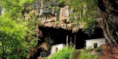 Dandeli Resorts Best group packages
