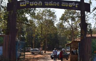 Family Resort Dandeli