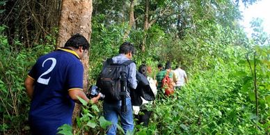 Dandeli best Resorts