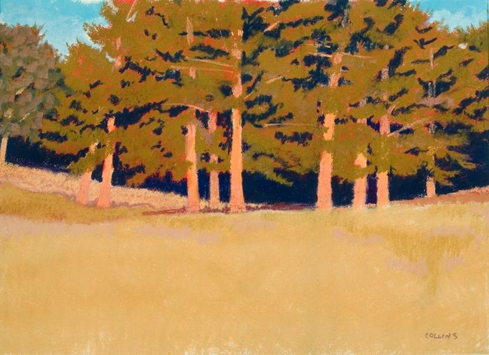 Pastel on Paper, 22" x 30". Artist - Don Colllins Organization - Laurentide Arts