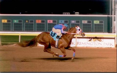 First Carolina
Racehorse
