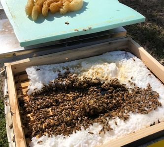 Comb drawn on insulating cover since December.