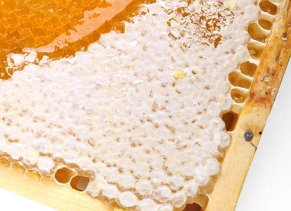 Comb honey in the frame.