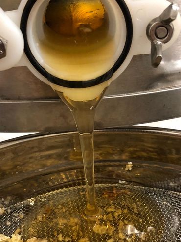 Honey flowing from extractor