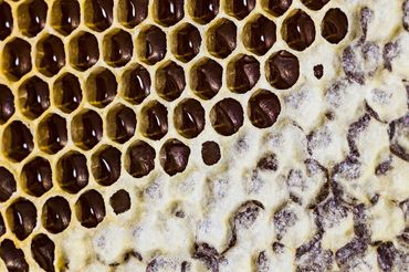 Partially capped honey