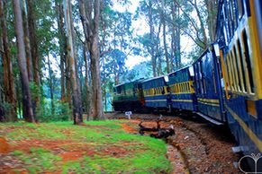 Ooty train - Karur to Ooty tour Package- Ooty Taxi service from karur