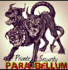 Parabellum private security.