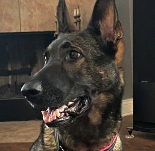 Kora - Excellent high scoring IPO female