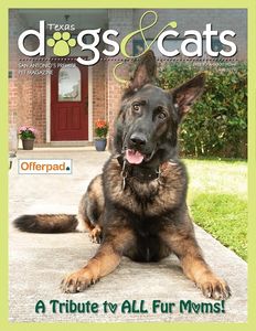 Legend! - Our cover model