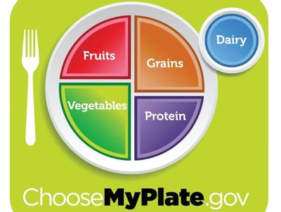 Healthy Plate