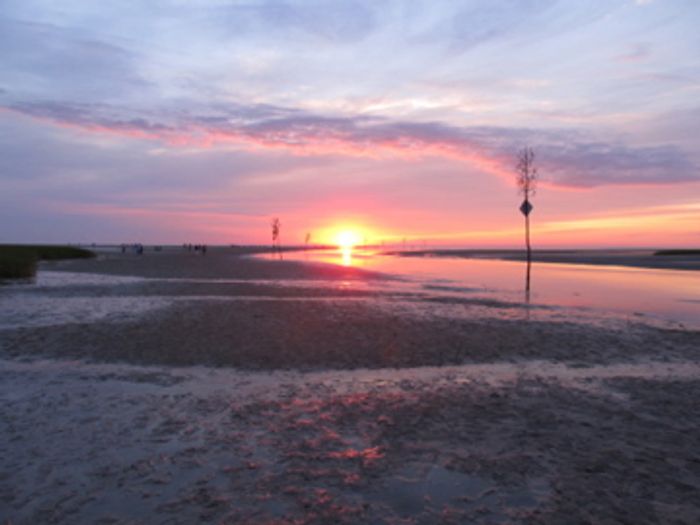 Cover photo of Healing From Chronic Myofascial Pain website. Photo credit: Maria Socolof