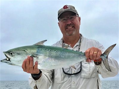 False albacore caught along the Crystal Coast, Morehead City, Beaufort area of North Carolina