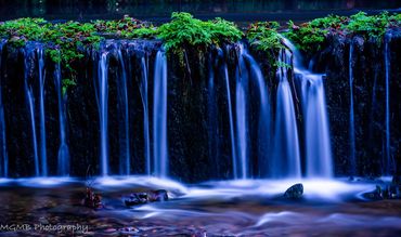 The creamy waters of this small weir on the River Plym, Devon, UK, with bright green ferns capping t