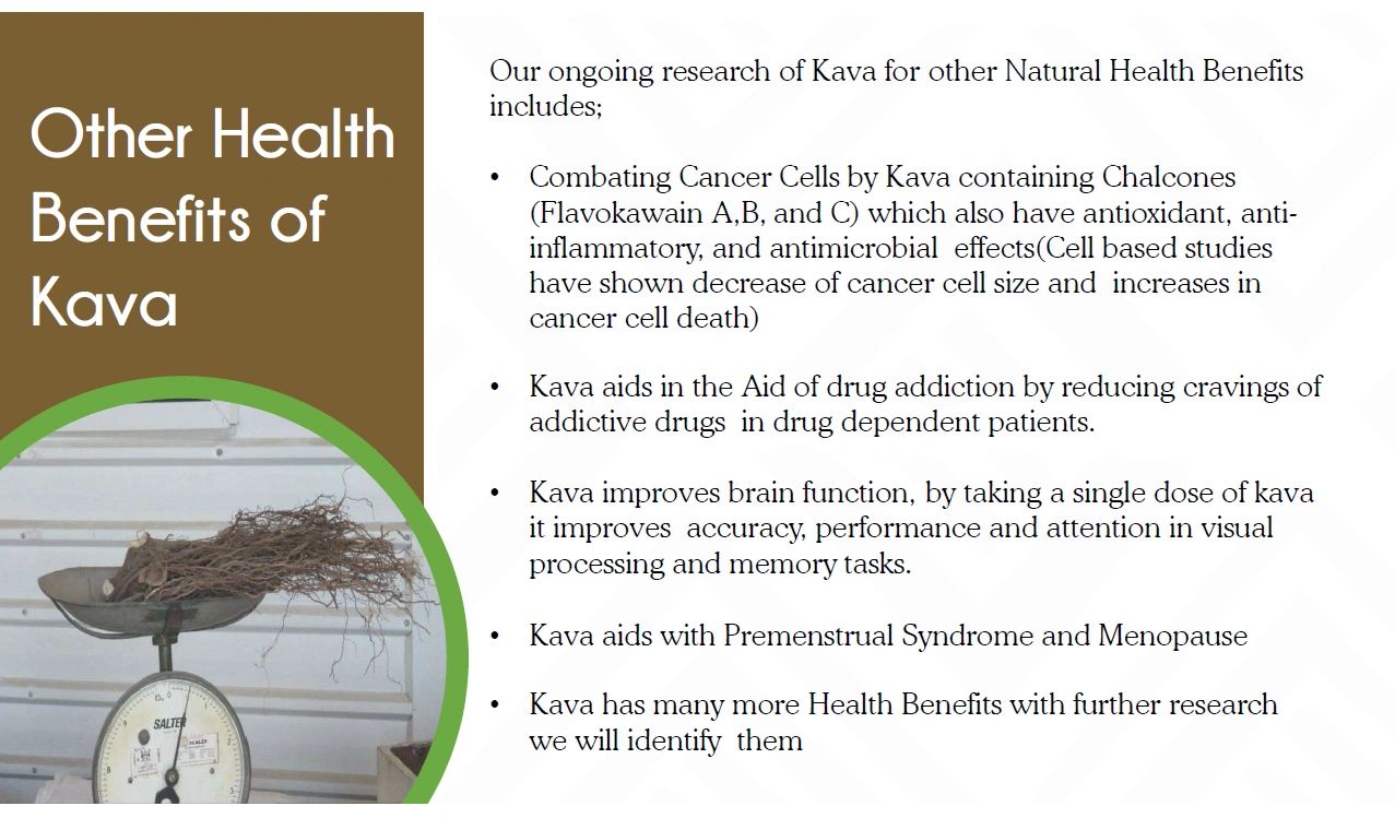 Other Health Benefits of Kava 