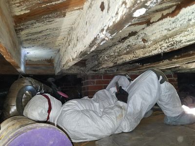 Crawl space encapsulation Vapor barrier Mold Moisture Humidity Basement Vents Damp Rot Musty