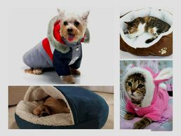 telas para la confección de artículos para mascotas