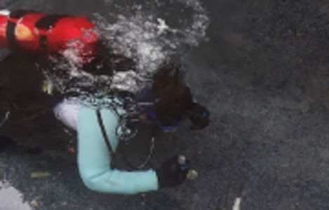 Swimming Pool Leak Detection Water loss Pool Losing