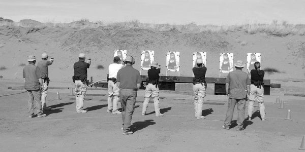 New MexicoArmed (Level III), intermediate armed (Level II) and unarmed (Level I) security officers.