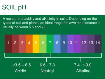 Soil pH