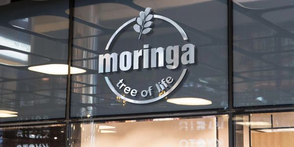 Moringa tree of life