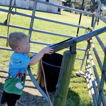 Conner’s A-Maize-Ing Acres