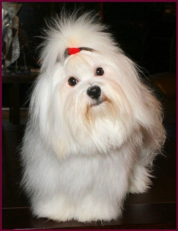 Kasia showing off the famous Coton head tilt