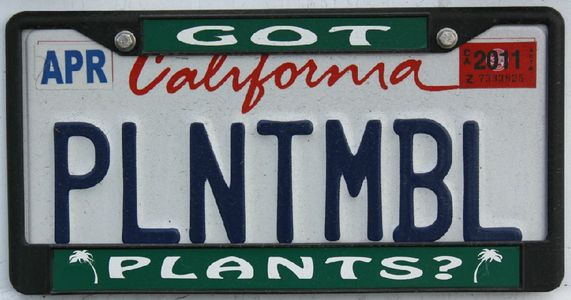 PLNTMBL, plant-mobile license plate
