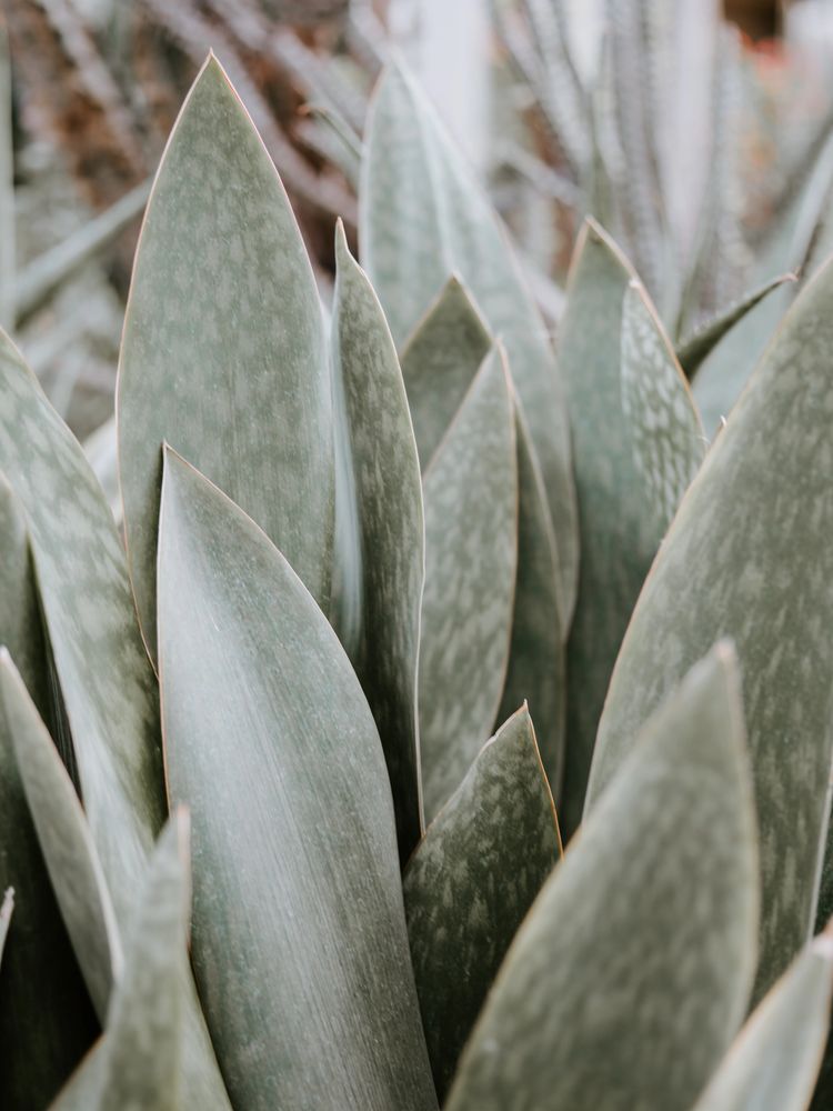 image63