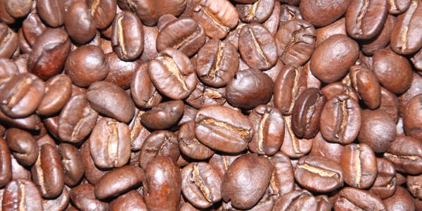 Whole medium roast Kilimanjaro Coffee beans