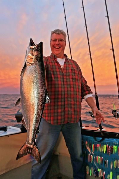 Giant King Salmon