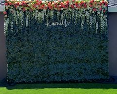 ivy hedge wall  san jose, san francisco, livermore, napa, sacramento, dublin, pleasanton, sonoma 
