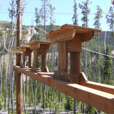 High ropes course - ROTC, NAVY SEAL BUDS, BCT