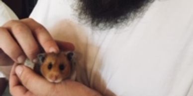 A man holding a hamster