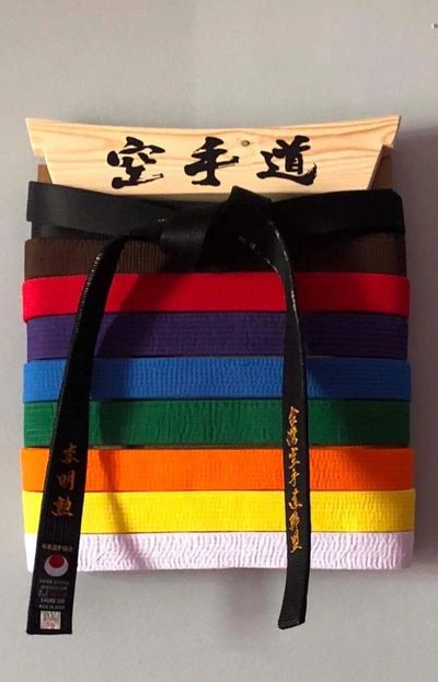 Karate belts level also call as "Kyu" level. Each color of the belt mean for different level.