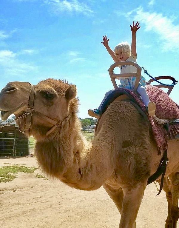Little girl riding a camel just living her best life