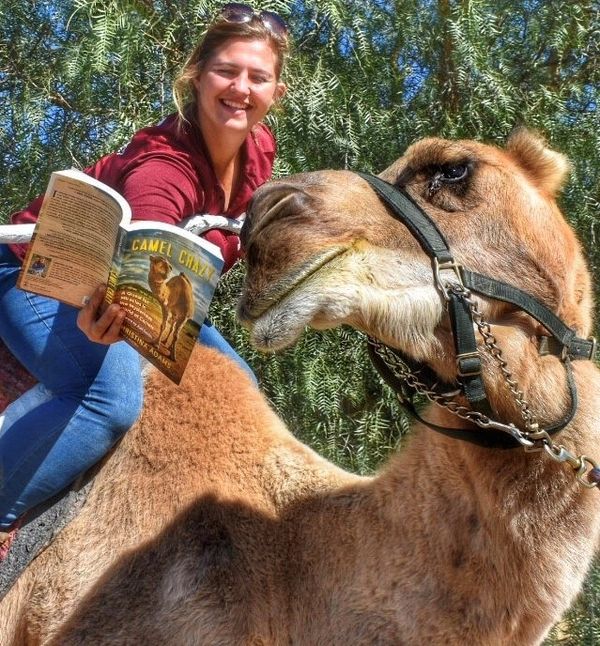 Oasis Camel Dairy employee showing camel, Camelot his segment in the book, Camel Crazy