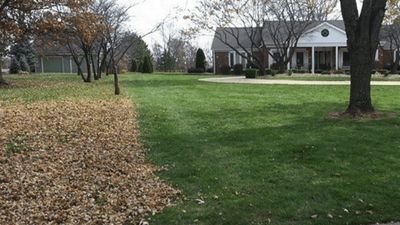 Leaf Removal & Fall Clean Ups