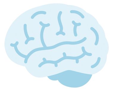 Simplified light blue illustration of a human brain with curved lines.