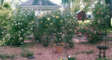 Rose garden paths lead to the gazebo and pool house.