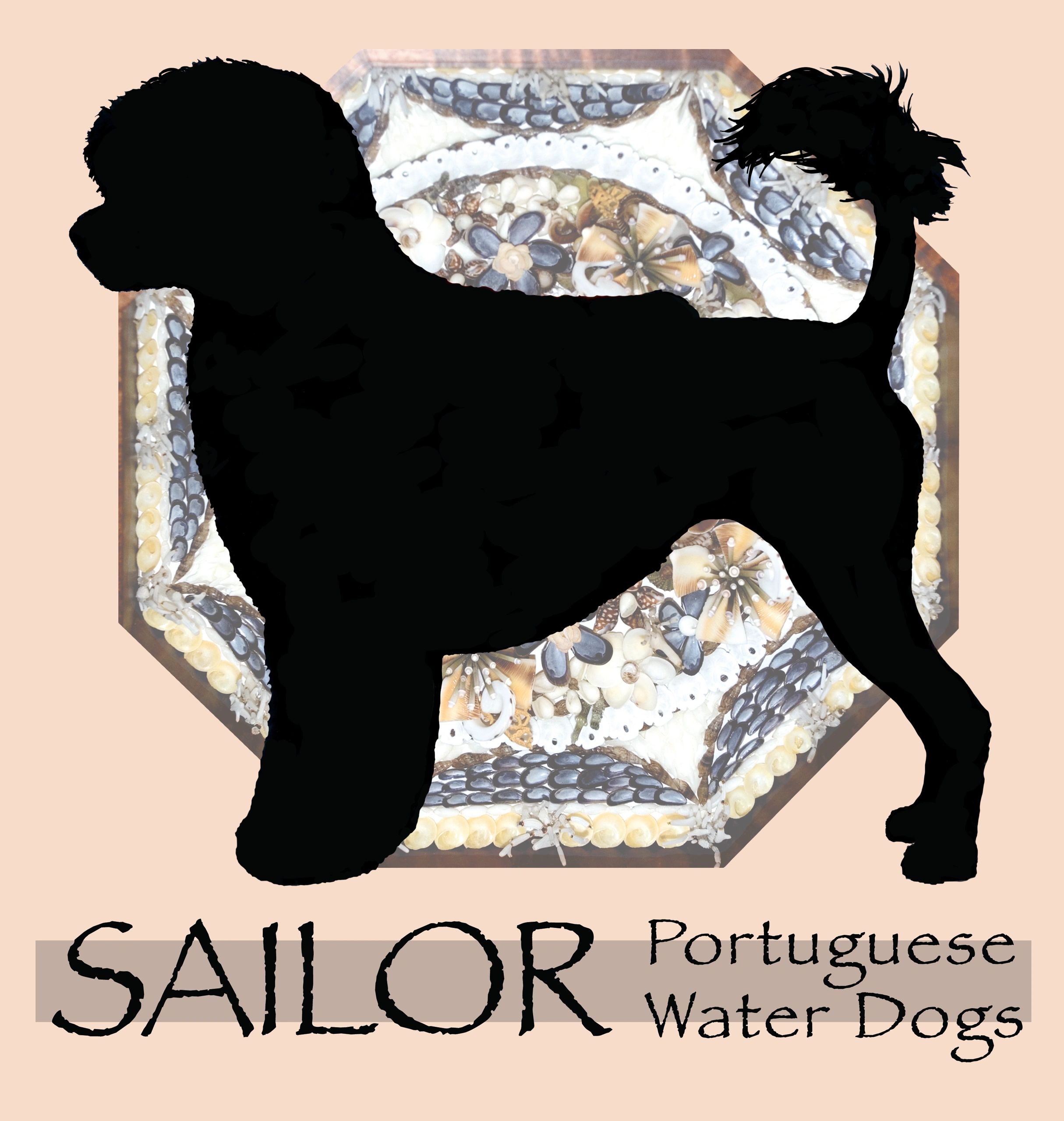Sailor Portuguese Water Dogs
